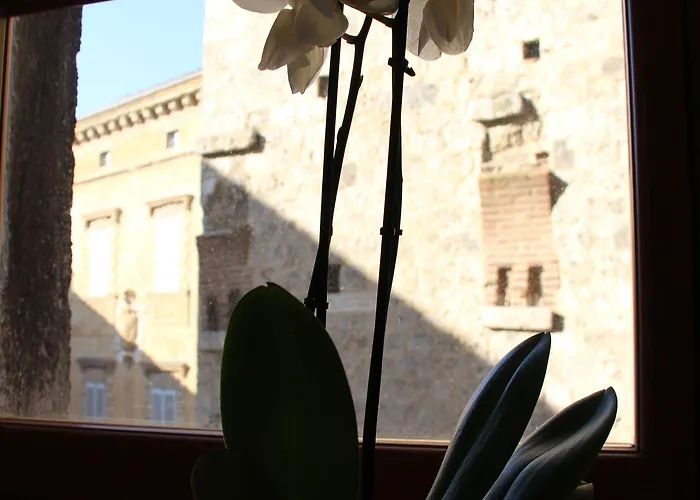 Residenza D'epoca Palazzo Borghesi シエーナ